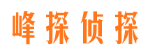 代县市调查公司